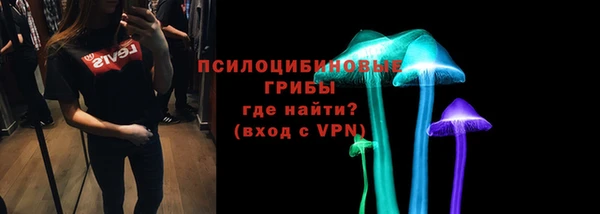 дживик Аркадак