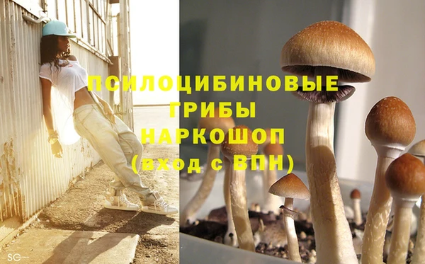 марки nbome Арсеньев